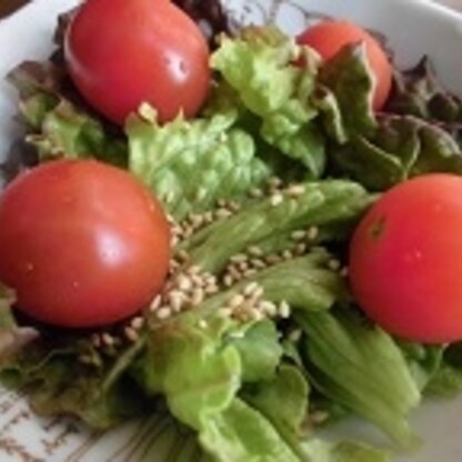 白ごまとごま油で香りのいいドレッシングですね。
これなら野菜もたくさん食べられます。